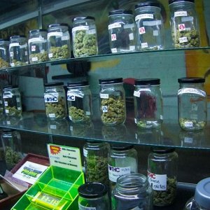 Dispensary in Los Angeles - Nanette Gonzalez