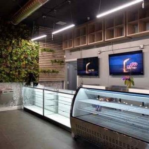 Dispensary in Long Beach - Brittany Murray