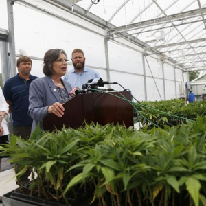 Hemp Supporters in New York - Patrick Oehler