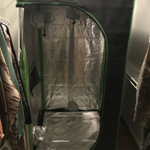 Grow room startup