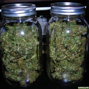 jars