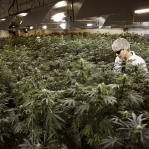 Warehouse Grow -  Reuters