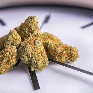 Buds on Clock - Shutterstock