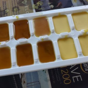 Poured in the ice cube trays w beeswax top