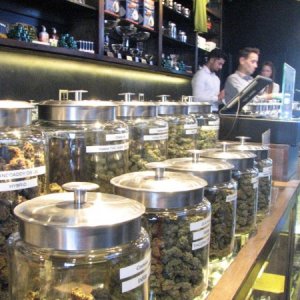 Dispensary in California - David Downs