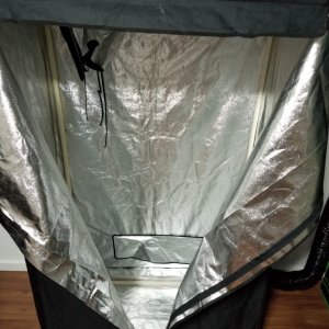 Ghetto rigged veg tent