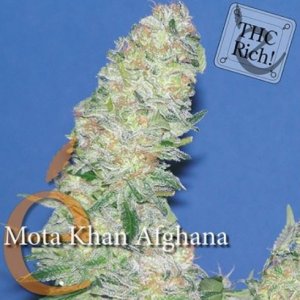 elite seeds, banana joint - weedseeds