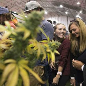 Cannabis Convention in Maine - Ben McCanna