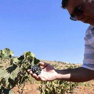 Lebanese Farmer - AFP