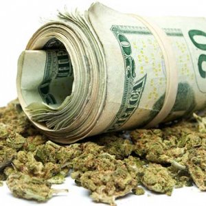 Cash and Cannabis2 - Shutterstock