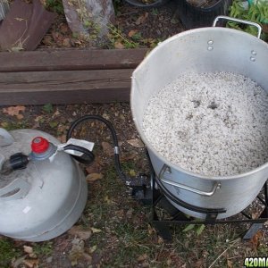 Cooking Perlite