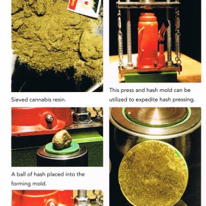 Marijuana Horticulture Fundamentals - Inner photo 1