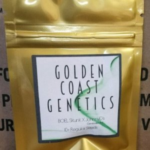 Golden Coast Genetics