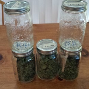 IN MASON JARS