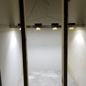 Veg Area Drywall