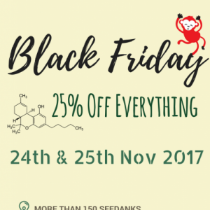 black friday, cannabisseeds, discounts, weedseeds, femaleseeds