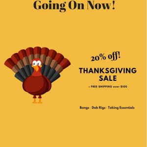 Thanksgiving Sale