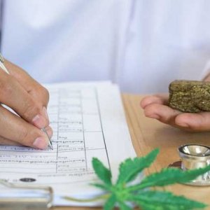 Doctor Researching Cannabis - Getty Images