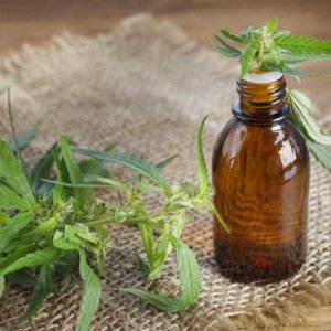 CBD Oil - Shutterstock