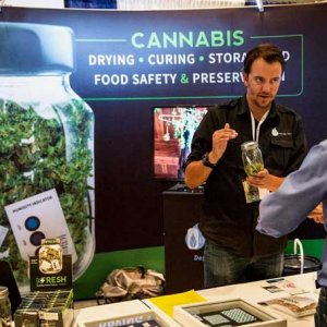 Cannabis Convention - Andrew Burton