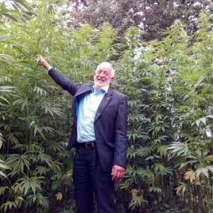 Hemp in Jersey - JerseyEveningPost