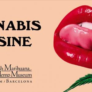 Cannabis Cuisine