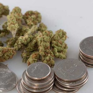 Cannabis and Coins - Tom Sydow