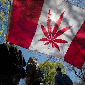 Flag Canadian Marijuana - Getty Images