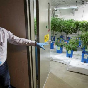 Grow Facility in New York - TheTimes-Tribune