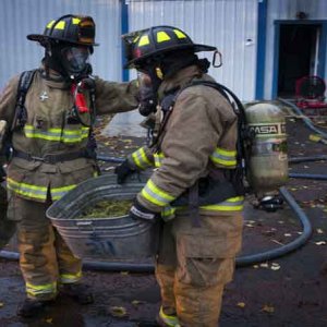 Firemen Saving Cannabis - Chris Pietsch