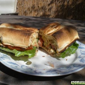 Sandwich a la creamy budsto