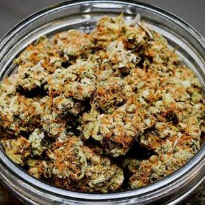 Jar of Marijuana - Dankdepot