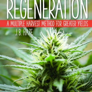 Cannabis Regeneration