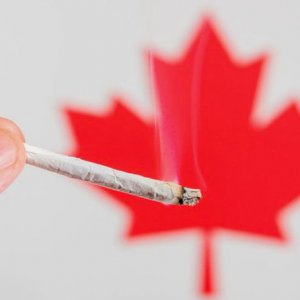 Canada Joint - Getty Images