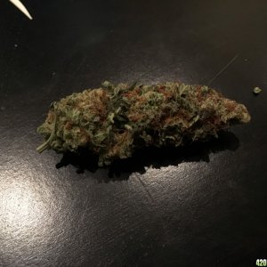 Skunk Diesel