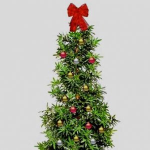 Marijuana Christmas Tree - Walmart