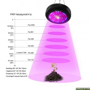 UFO 300W LED  grow light ,Mrhua  on Amazon store