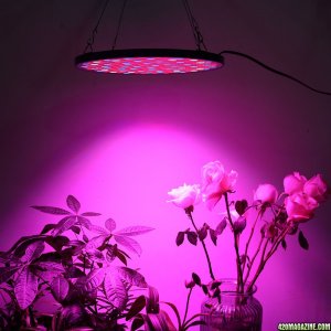 2017 New 50W LED Grow Light Panel, Mrhua Ultra-Thin design with efficient H