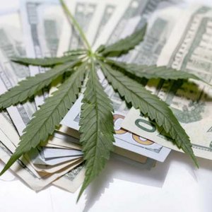 Cash and Leaf - law_com