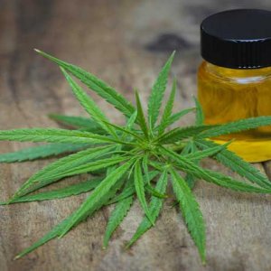 CBD Oil - iStockphoto