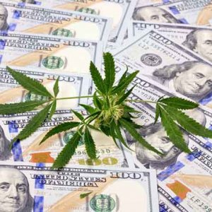 Cash And Cannabis4 - Getty Images