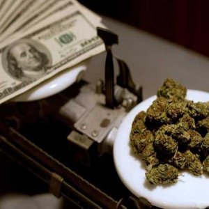 Cash Money & Marijuana - Bloomberg