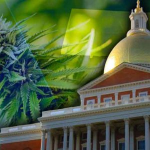 Massachusetts Marijuana Statehouse - WCVB