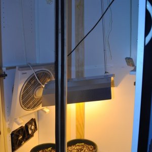 First Coco Grow Setup 2