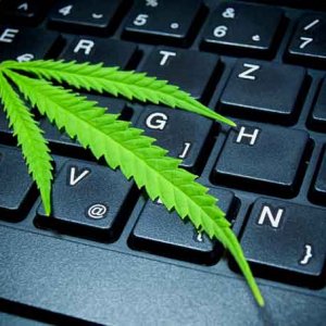 Marijuana Technology - Shutterstock