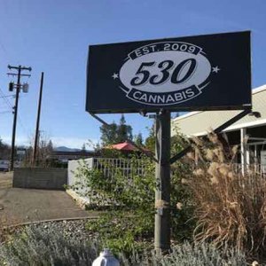 Dispensary in California - David Benda