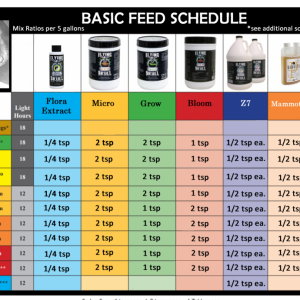 Rider's Flying Skull feed schedule