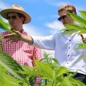 Hemp in Australia - Melanie Vujkovic