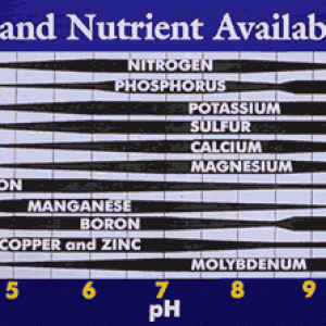 ph_availability_in_soil