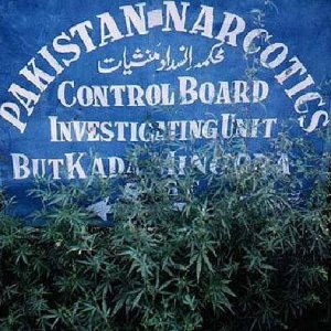 Pakistan Narcotics Control Board Investigating Unit